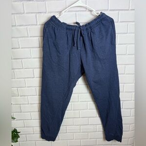 MISTER New York Men's Blue Jogger Pants/size L